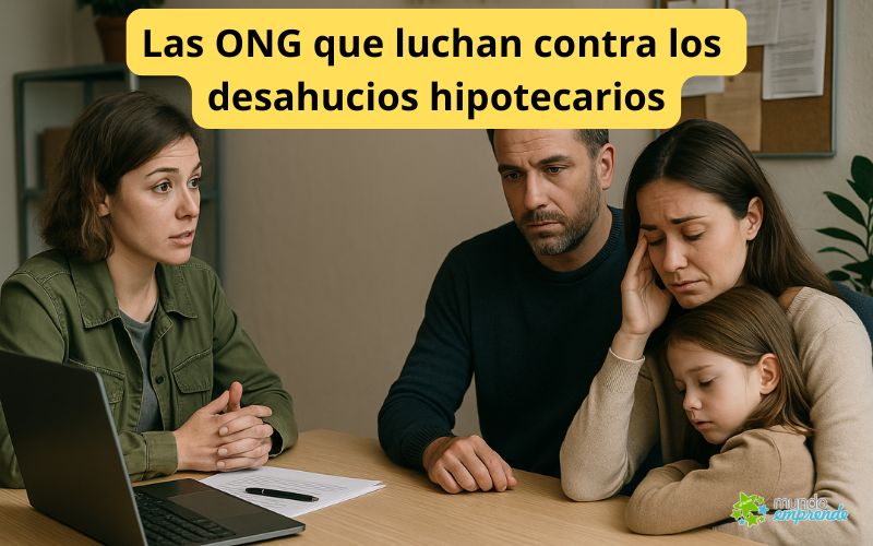 Las ONG que luchan contra los desahucios hipotecarios